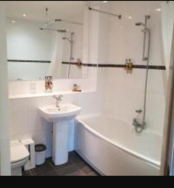 Parc Y Bryn Luxury Penthouse Apartment Αμπερίστγουιθ Εξωτερικό φωτογραφία