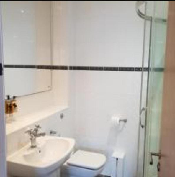 Parc Y Bryn Luxury Penthouse Apartment Αμπερίστγουιθ Εξωτερικό φωτογραφία