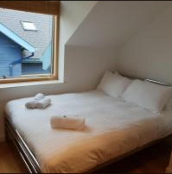 Parc Y Bryn Luxury Penthouse Apartment Αμπερίστγουιθ Εξωτερικό φωτογραφία